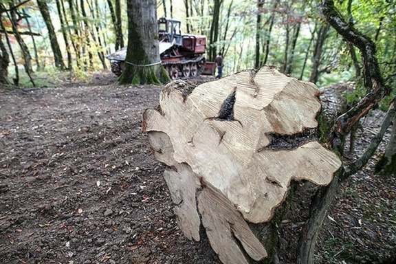 جنگلزدایی در مناطق گرمسیری در دورهای ۲۰ ساله باعث مرگ بیش از ۵۰۰ هزار نفر شده است