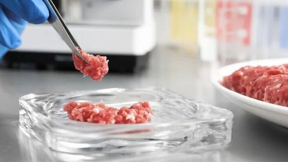 یک مقام سازمان غذا و دارو: موفق به تولید گوشت حلال و غیرحیوانی شدیم