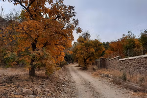 کاهش ۸۸ درصدی بارش در پاییز؛ ابعاد بحران آب در ایران گستردهتر میشود