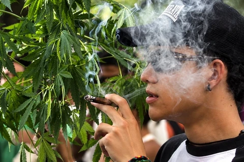 Young Iranians turn from opium to cannabis and meth