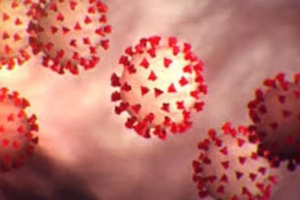 Iran Minister Says New Coronavirus Strain, Omicron Could Spread