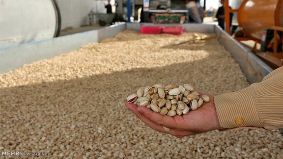 افت شدید صادرات پسته ایران در سال جاری