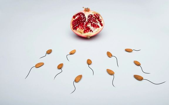 با هدف آگاهیبخشی درباره بحران ناباروری مردان؛اولین مسابقه اسپرمها در جهان برگزار میشود