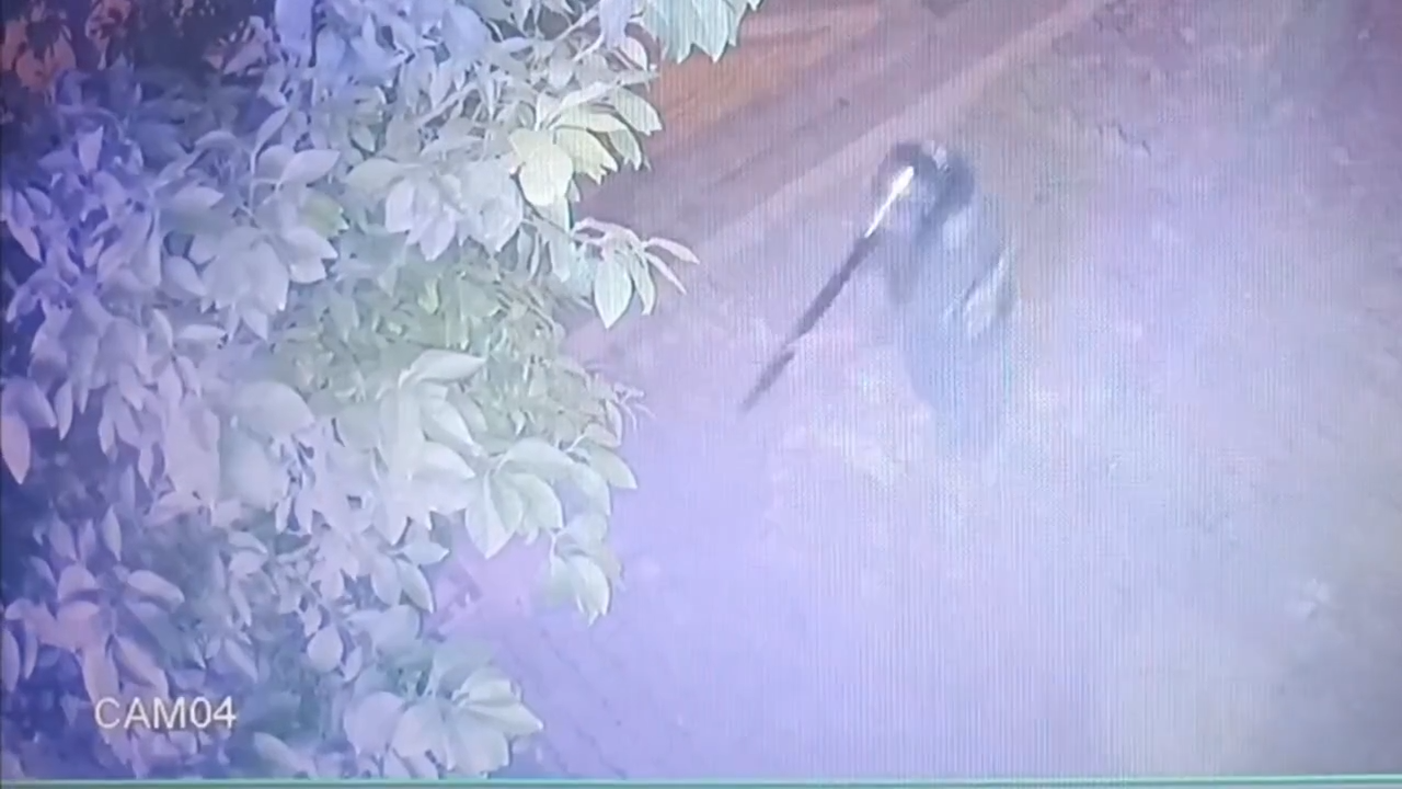 CCTV footage obtained and verified by Iran International shows security forces using lasers in Gorgan on January 9, a day after Hamid Kouhsari said protesters were targeted with similar tactics.