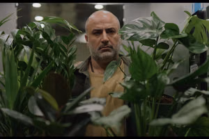 «کمی نور»؛ تهران بعد از جنگ