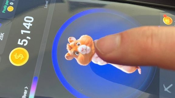 Hamster Kombat gameplay