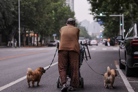 پژوهشی تازه: روزانه ۳ تا ۵ هزار قدم ابتلا به آلزایمر در سالمندان را ۳ سال عقب میاندازد