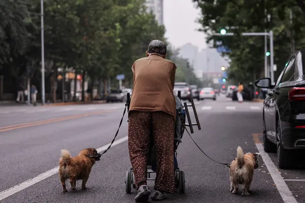 پژوهشی تازه: ۳ تا ۵ هزار قدم در روز احتمال ابتلا به آلزایمر را ۳ سال به تاخیر میاندازد