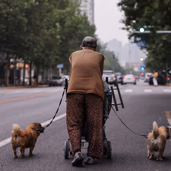 پژوهشی تازه: ۳ تا ۵ هزار قدم در روز احتمال ابتلا به آلزایمر را ۳ سال به تاخیر میاندازد