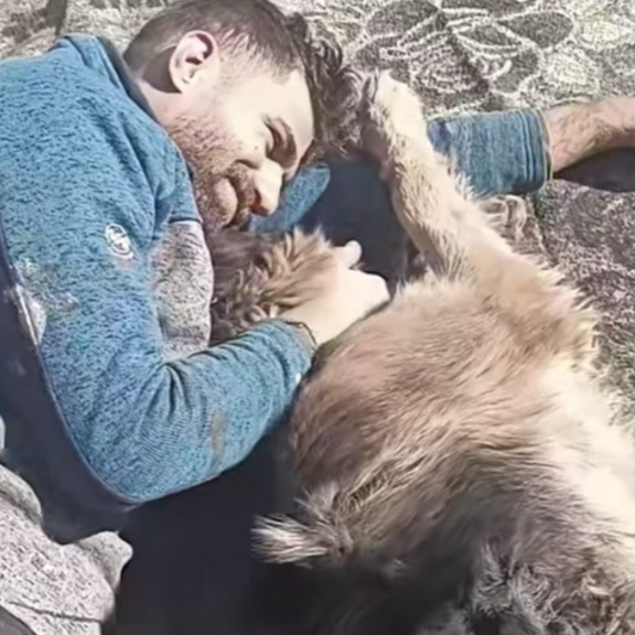 Ali Karami with his loyal companion Ariel, cuddling. Karami was killed on January 8 for demanding freedom.