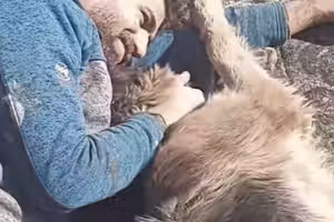 A man, a dog, and a private wish turned public tragedy in Iran