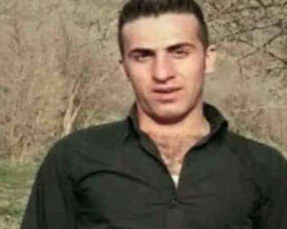 Hayman Mostafaei