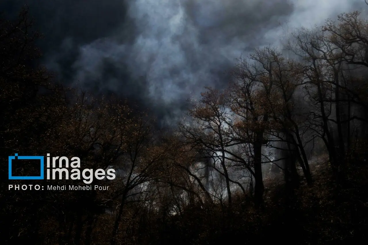 صحيفة حكومية تربط حريق غابات إليت شمالي البلاد بـ"التخريب والإرهاب"