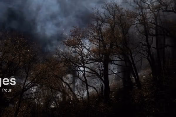 روزنامه حکومتی فرهیختگان عامل آتشسوزی جنگل الیت را «تروریسم و خرابکاری» خواند