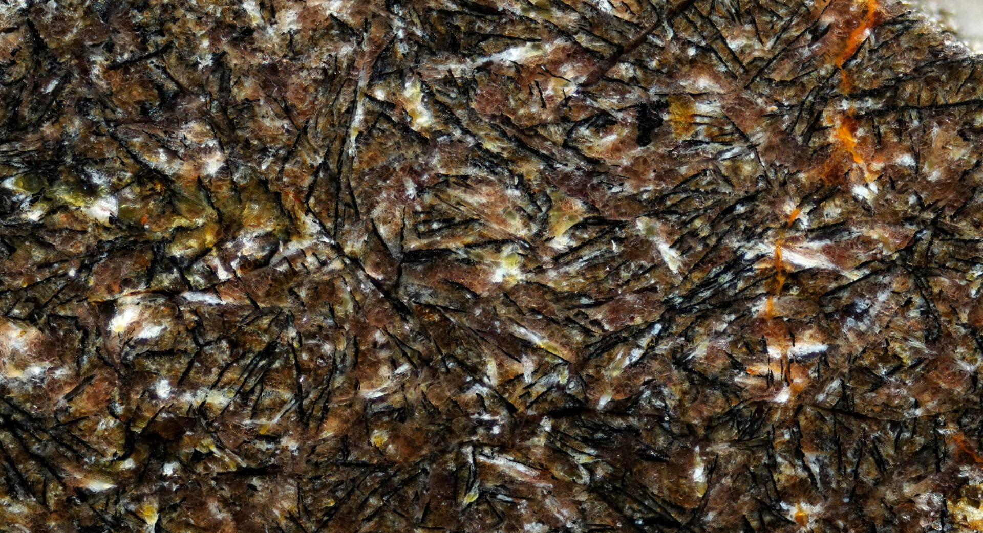 برشی نازک و صیقلی‌شده از شهاب‌سنگ شمال غرب آفریقا ۱۶۲۸۶ نشان می‌دهد که دانه‌های سیاه‌رنگ و سوزنی‌شکل موجود در تصویر از جنس کانی ایلمِینیت هستند. میدان دید عمودی تصویر برابر با ۲ میلی‌متر است