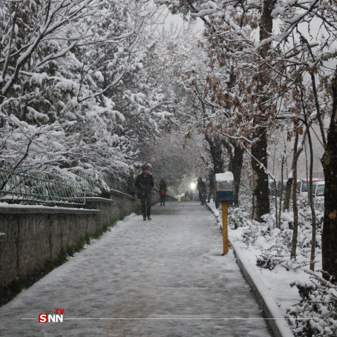 بارش سنگین برف و کمبود گاز نیمی از ایران را به حالت نیمه‌تعطیل درآورد