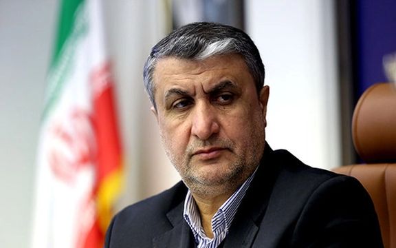 Iran Says IAEA Access Stays Limited Unless Nuclear Deal Revived