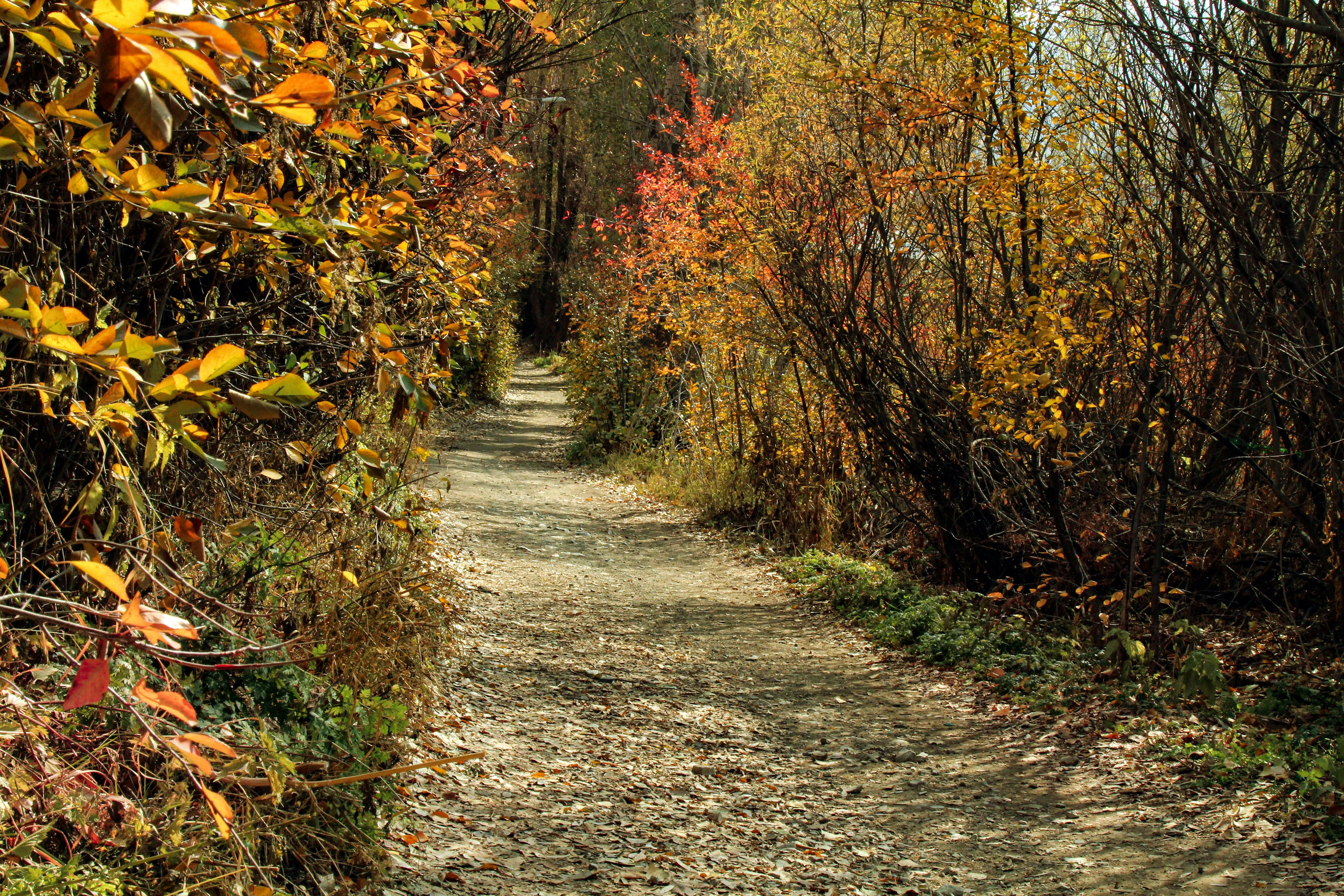 یکی از خشک‌ترین پاییزهای ۵۰ سال اخیر ایران به ثبت رسید