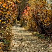 یکی از خشکترین پاییزهای ۵۰ سال اخیر ایران به ثبت رسید