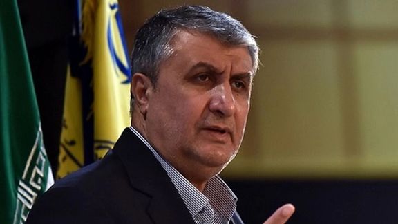 رییس سازمان انرژی اتمی ایران: آژانس حق تحمیل بازرس را به ما ندارد