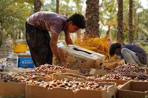 Tehran ‘ashamed’ as Iranians struggle to make ends meet
