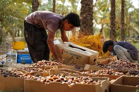 Tehran ‘ashamed’ as Iranians struggle to make ends meet