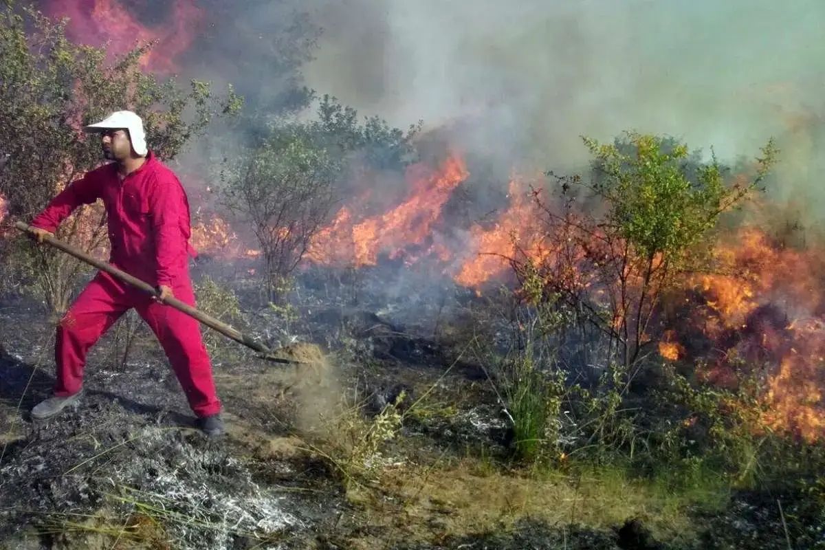 جنگل‌‌های دیزمار جلفا از سه روز پیش در آتش می‌سوزند