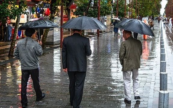 مدیرکل هواشناسی تهران: مه و بارانهای تهران شیمیایی هستند