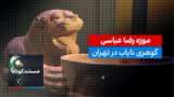مستند کوتاه- موزه رضا عباسی