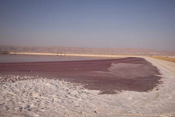 خبرگزاری ایلنا: تقریبا هیچ تالاب زندهای در استان فارس باقی نمانده است