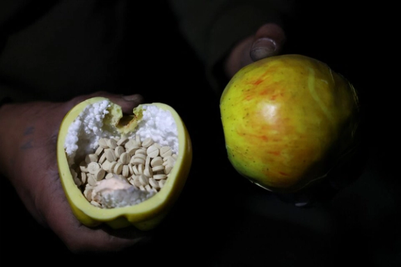 Pills, which according to fighters loyal to the new ruling Syrian body are captagon, are placed inside of an apple-shaped container, on the outskirts of Damascus, Syria, December 12, 2024.