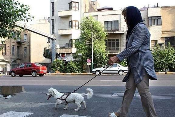 A woman walking a dog in a Tehran street in Iran.