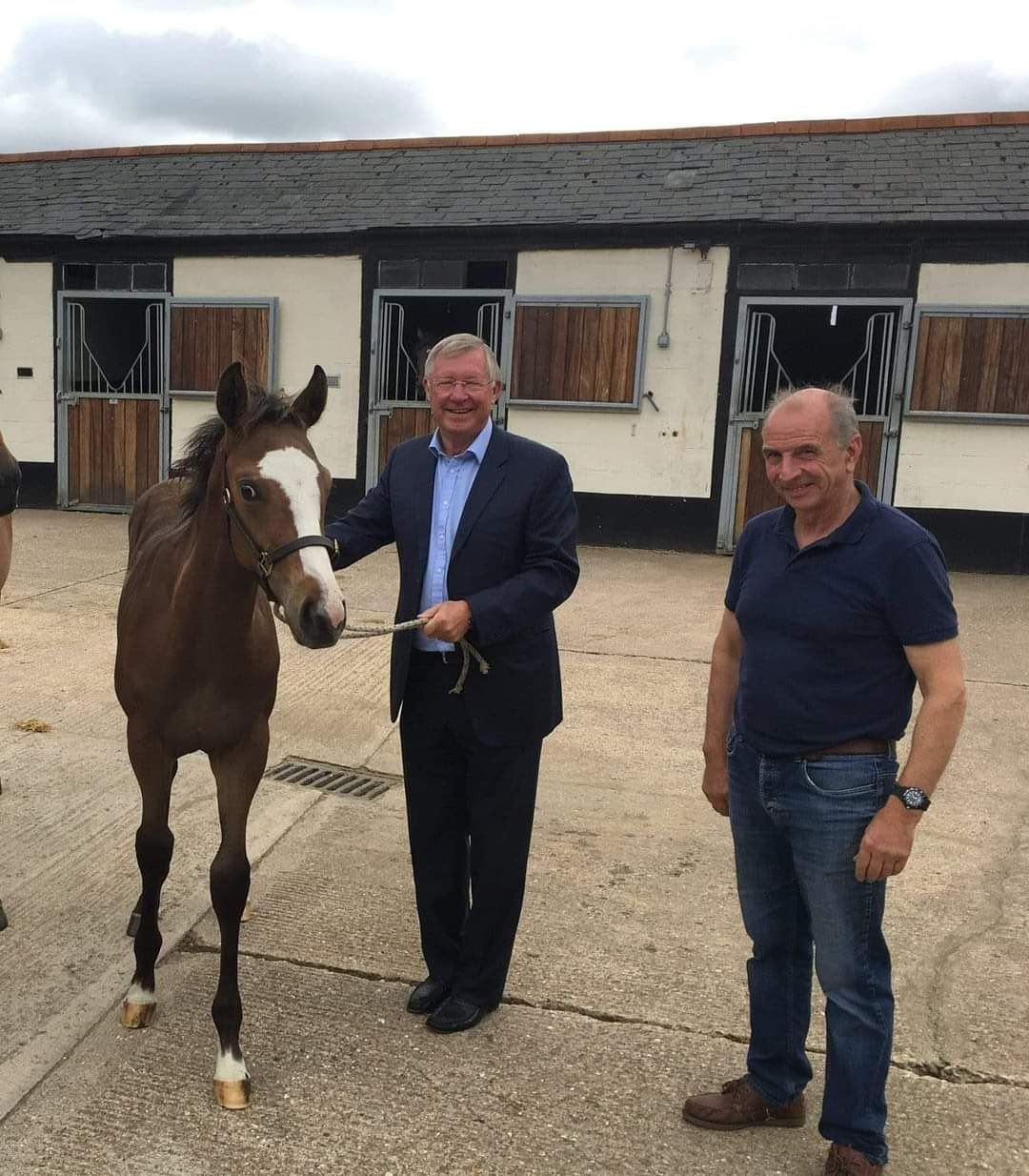 سرالکس ۱,۵ میلیون پوند جایزه برد؛ اسب فرگوسن در کورس نئوم‌کاپ عربستان سعودی اول شد