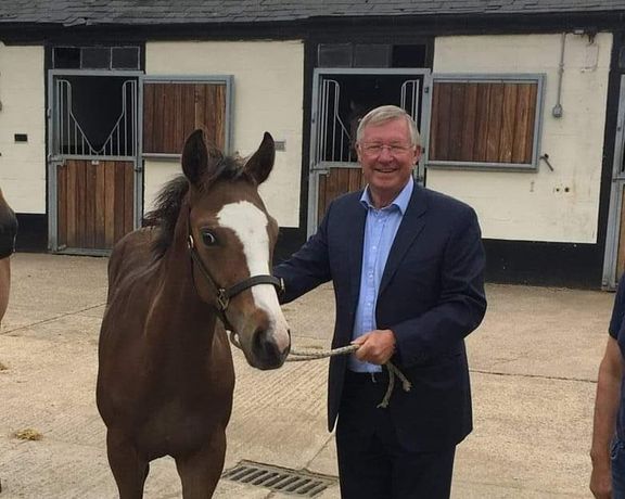 سرالکس ۱,۵ میلیون پوند جایزه برد؛ اسب فرگوسن در کورس نئومکاپ عربستان سعودی اول شد