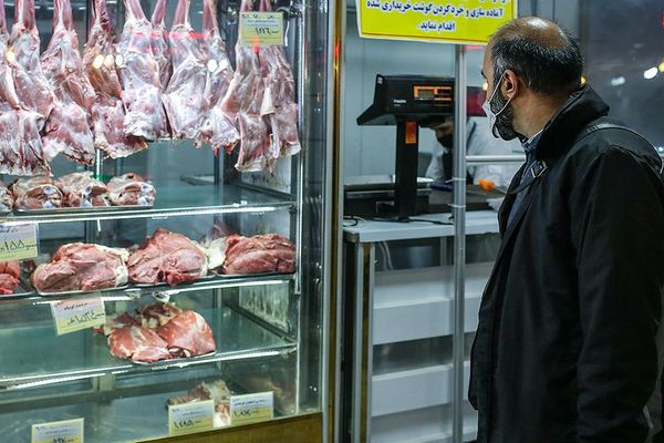 رییس شورای تامین دام کشور: اکثر مردم حتی توان خرید گوشت منجمد هندی و برزیلی را ندارند