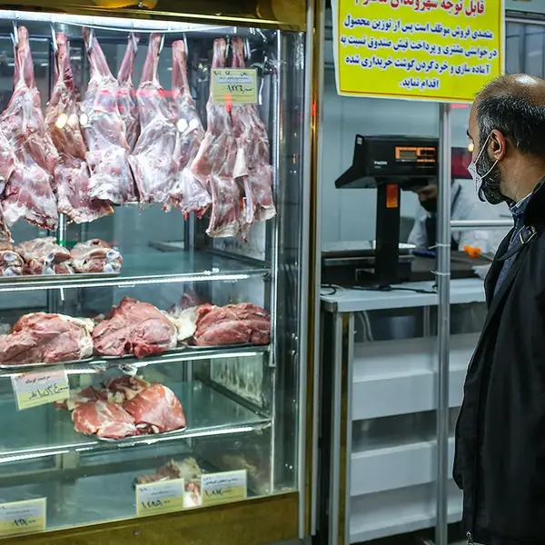 رییس شورای تامین دام: حتی گوشت برزیلی هم از سفرههای مردم حذف شده است