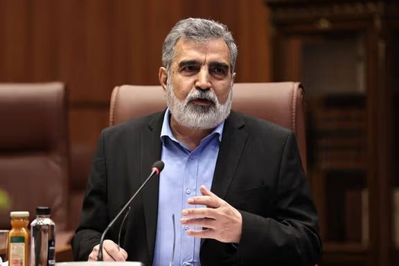 Spokesperson for Iran’s Atomic Energy Organization Behrouz Kamalvandi 