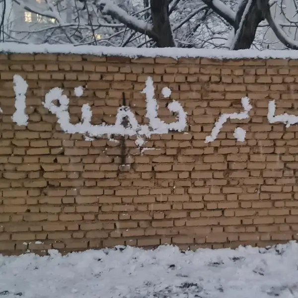 شاهزاده رضا پهلوی: به جنایت مزدورانی که مانع درمان مجروحان میشوند رسیدگی خواهد شد