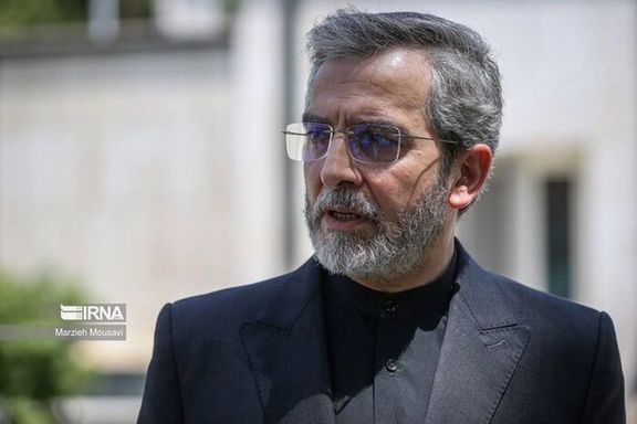 Iran's Acting Foreign Minister, Ali Bagheri Kani