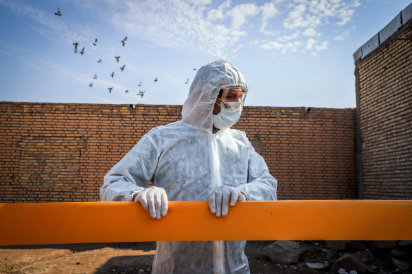 ظهور نوع من أنفلونزا الطيور "شديد العدوى" شمال إيران