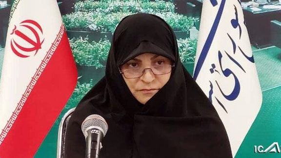 دبیر کمیسیون اجتماعی مجلس: فکر نمیکنم پزشکیان با قانون حجاب مخالف باشد