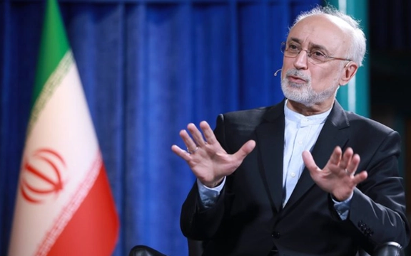 رییس پیشین سازمان انرژی اتمی: مذاکرات منحرف شود، دودش به چشم همه خواهد رفت