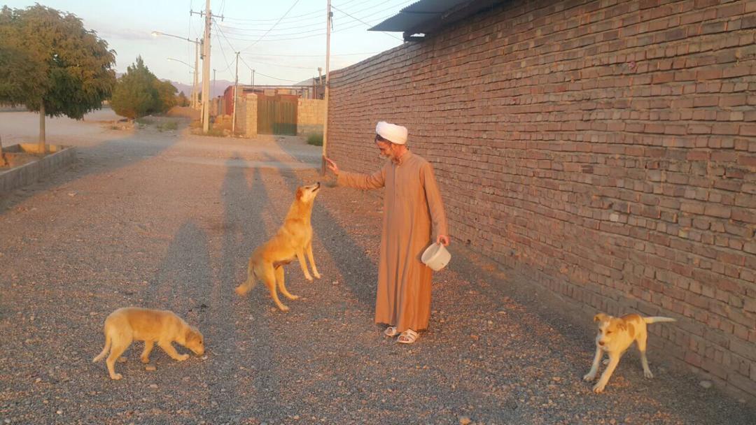 سخنران دفتر خامنه‌ای: روحانیت در برابر فرهنگ سگ‌آوری در جامعه فعال باشد