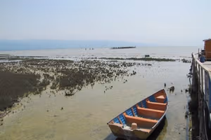 تنها سه تا پنج سال برای نجات خلیج گرگان فرصت باقی است