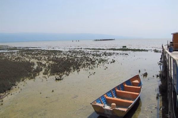 تنها سه تا پنج سال برای نجات خلیج گرگان فرصت باقی است