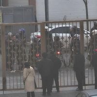 As protests spread in Iran, official denial deepens