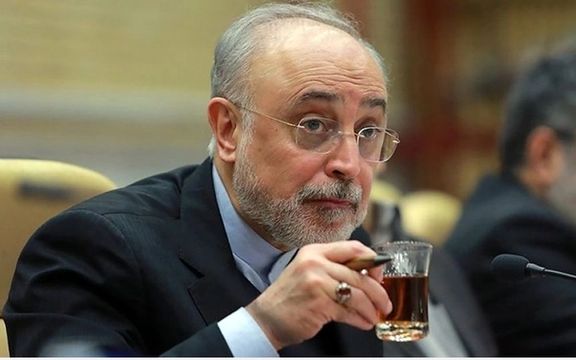 علی اکبر صالحی: اصل مذاکره یک امر پسندیده است