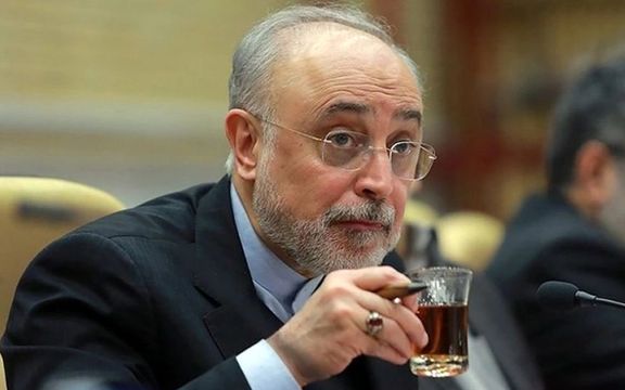 مسؤول إيراني سابق: لا يجب أن تتحول المفاوضات إلى كلمة سلبية