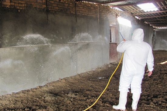 سمپاشی جایگاههای نگهداری دام