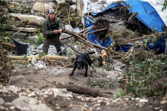سگ نجات به دنبال نجات دانشآموزانی که در کمپ میستیک گرفتار سیل شدهاند.
